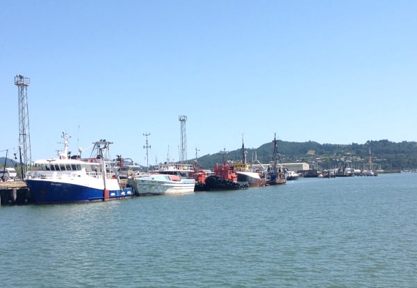 Whangarei Harbour Cruises