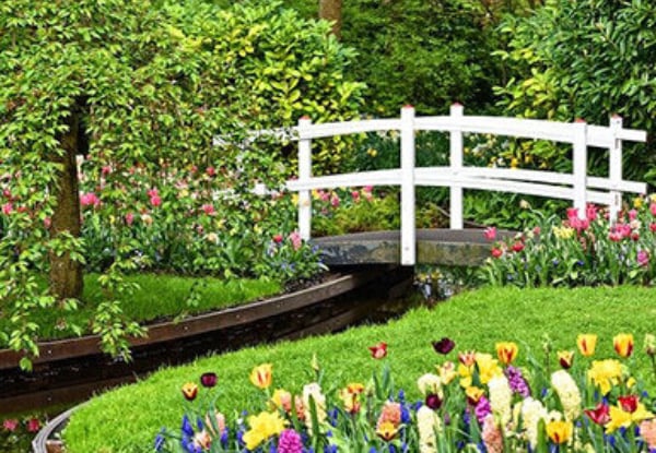 Gardening Online Certificate Course - Option for Garden Maintenance or Gardening & Lawn Care — photo 3