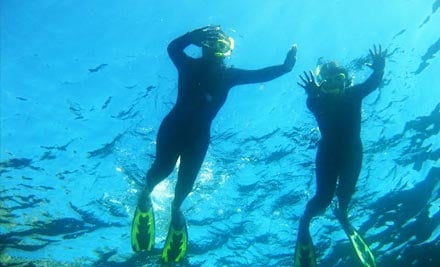 Four-Hour Guided Snorkel Experience at Goat Island or Tawharanui Marine