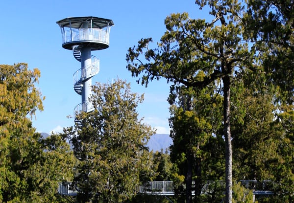 Adult Pass to The West Coast Treetop Walkway - Option for Child or Senior — photo 8