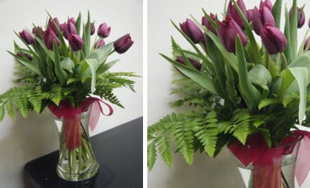 Efflorescence