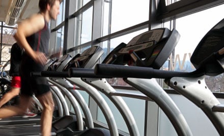 PRO FIT Te Awamutu