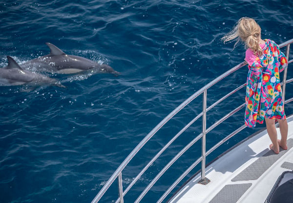 Wild Dolphin Encounter - Half-Day Wildlife Spring Cruise - Options for Adult, Children, Toddler or Family Pass — photo 5