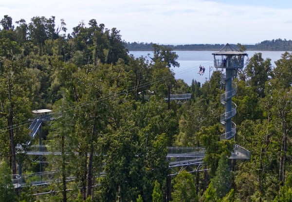 Adult Pass to The West Coast Treetop Walkway - Option for Child or Senior