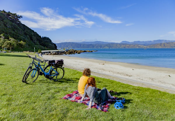 The Ultimate Wellington Bays & Petone Full-Day eBike Adventure - Options for Two & Four People — photo 8