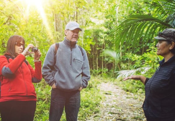 One-Night Kiwi Spotting Tour & Stay for Two People on Kapiti Island incl. Ferry Transport, Introductory Talk, North End DOC Permit, Dinner, Breakfast & Lunch - Option for Two-Night Stay — photo 9