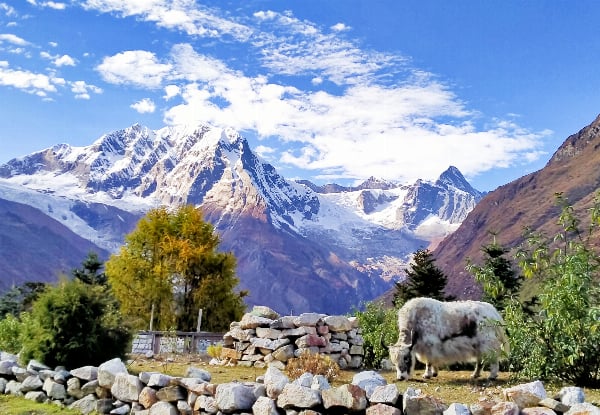 Per Person, Twin-Share 14-Night/15-Day Nepal Manaslu Circuit Trek Package incl. Accommodation, Airport Transfers, Transportation, Guide, Permits & More — photo 3