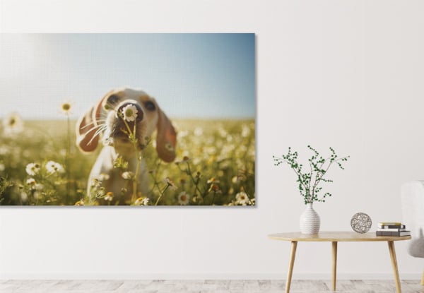 Personalised Canvas Print - Eight Sizes Available — photo 3