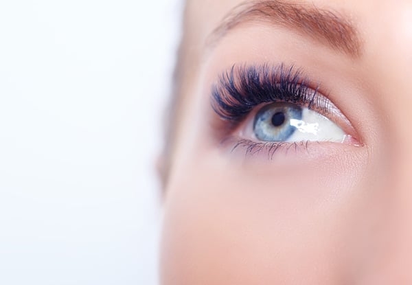 Full Set of Individual Nouveau Eyelash Extensions incl. Eyebrow Shape & Tint — photo 3