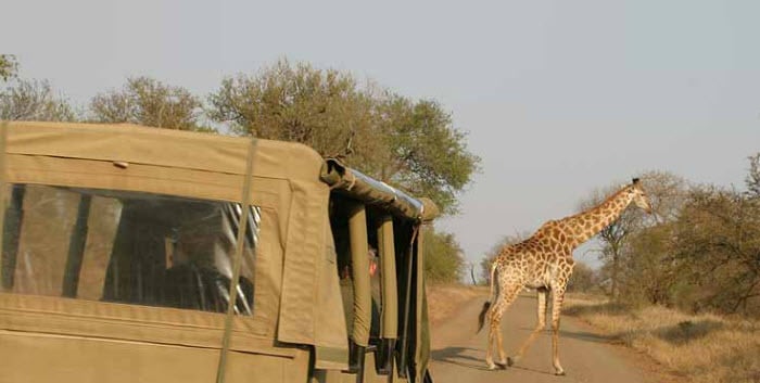 Royal Kruger Lodge - South Africa