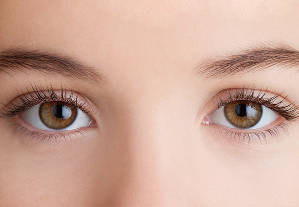 Eye Beauty Trio incl. Eyelash & Eyebrow Tinting, with Eyebrow Shape - Options for Wax, Lash Lifting, Henna Brows & Dermaplanning Facial
