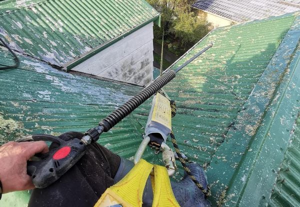 Roof Soft Wash Cleaning, Roof Moss & Mould Treatment - Options for Small, Medium, Large or Extra Large Homes & Single or Multi-Storey Homes — photo 3