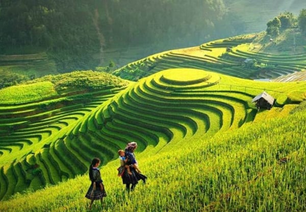 Per-Person, Twin-Share 7 Day Vietnam Tour of Hanoi, Halong & Sapa incl. Accommodation, Meals, Airport Transfer, Kayaking on Halong Bay, Cooking Class & More - Option for Three, Four & Five Star Accommodation Packages — photo 6