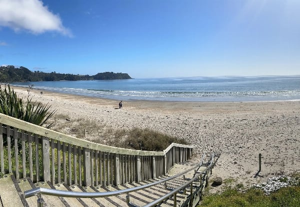 Waiheke Naturally Art, Gardens & Olive Oil Tour - $236.74 per Adult — photo 5