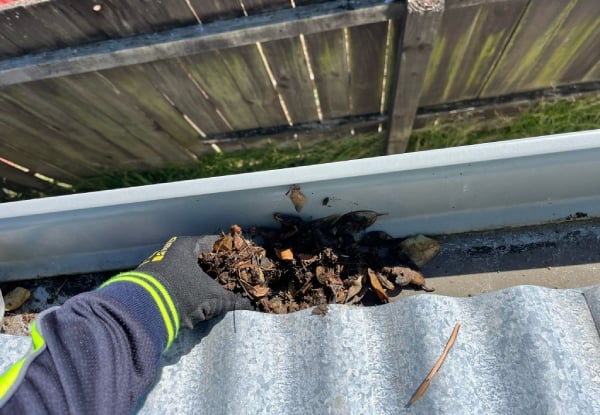 Single-Storey House Maintenance - Options for Internal & External Window Clean, Gutter Clean, or Full House Wash Maintenance Package for up to Five-Bedroom Homes — photo 5