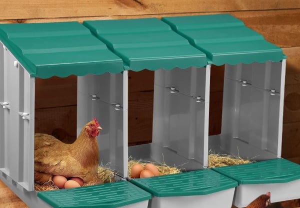 Three-Hole Chicken Nesting Box - Three Colours Available — photo 7