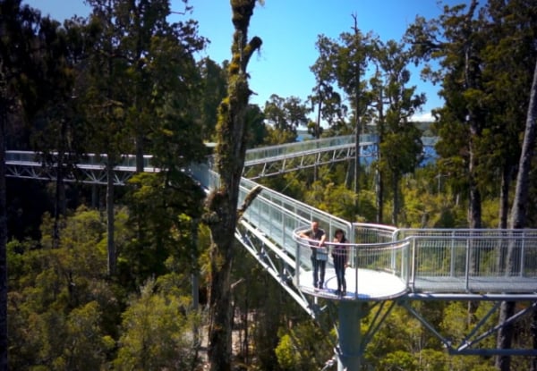 Adult Pass to The West Coast Treetop Walkway - Option for Child or Senior — photo 4