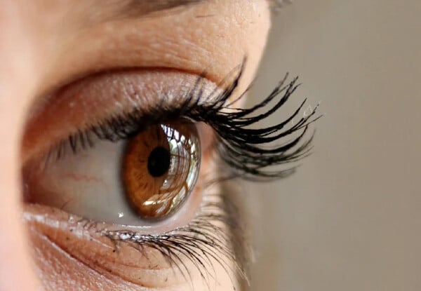 Beautiful Brows & Lashes in Onerahi, Whangarei - Options for Brow Shape, Lash Tint, or Eye Trio — photo 3