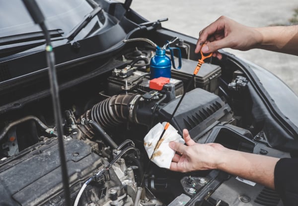 Lansford Automotive | GrabOne
