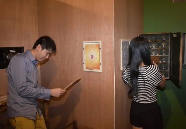 Gold Heist in the Gold Rush Escape Room, Takapuna from $98 for Two People — photo 5