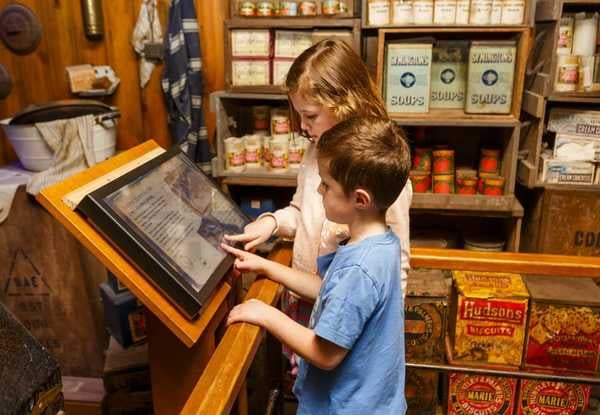 Child or Adult General Admission to Kelly Tarlton’s — photo 9