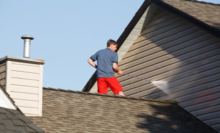 Reg Hopper Roof Painter