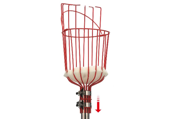 Fruit Picker Pole with Basket Telescoping — photo 2
