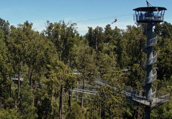 Adult Pass to The West Coast Treetop Walkway - Option for Child or Senior — photo 5