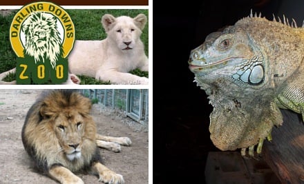 Darling Downs Zoo