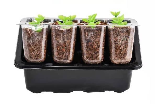10-Pack Seed Starter Kit — photo 2