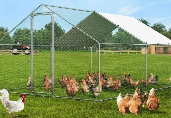 Large Chicken Coop with Roof Cover — photo 2