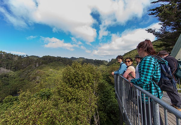Up to 50% Off General Admission to ZEALANDIA for Adults & Kids — photo 4