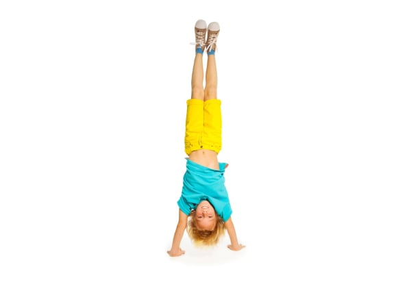 The Gymnastic Academy Ltd.