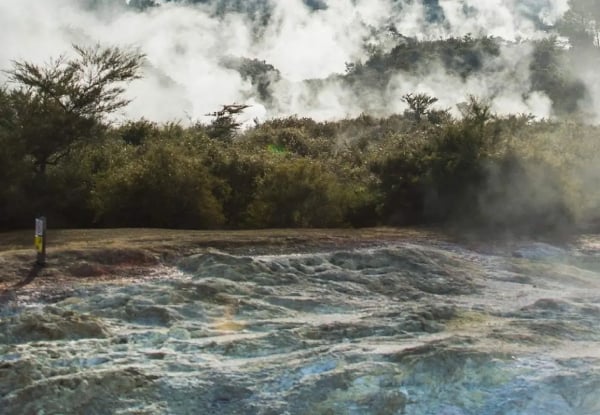 Wai-O-Tapu Thermal Wonderland & Lady Knox Geyser Family Pass for Five $126.26 or Adults $51.56 — photo 5
