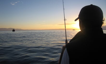 Skipper Solutions NZ