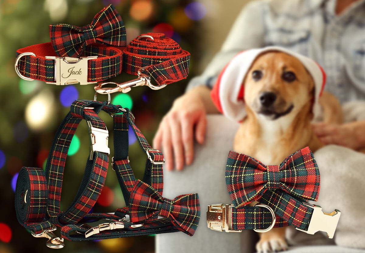 Custom Pet Collar — photo 8