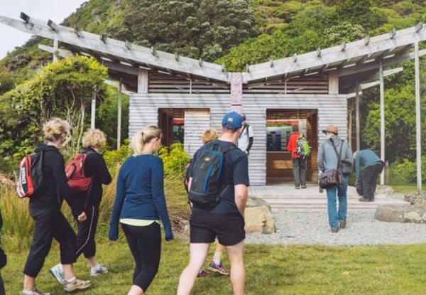 Kapiti Island Day Trip incl. Ferry Transport, Introductory Talk & DOC Permit for One Person - Option to incl. One-Hour Guided Walk & Lunch - Midweek & Weekend Options Available — photo 10