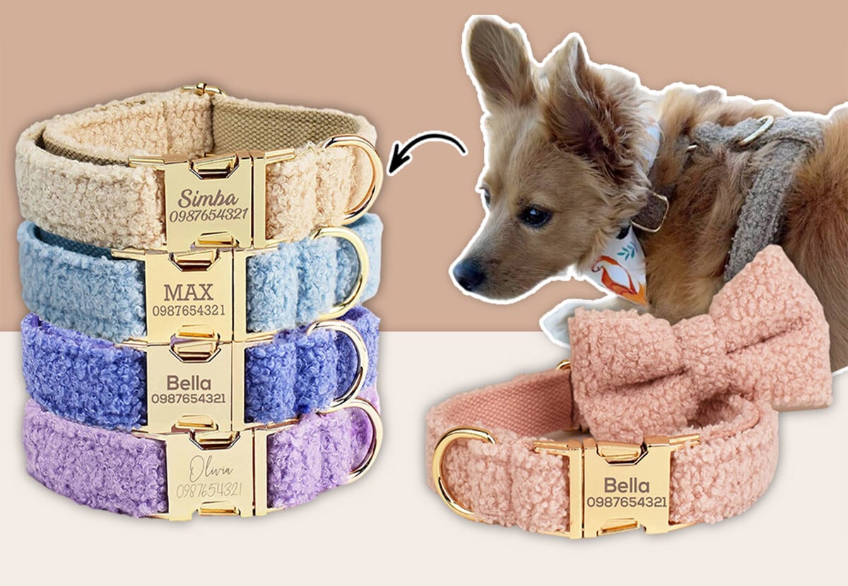 Custom Pet Collar — photo 3