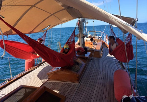 Ultimate Auckland Harbour Cruise Aboard The Haparanda Luxury Schooner  for One Person - Options for up to Four People incl. Bottle of Wine — photo 4