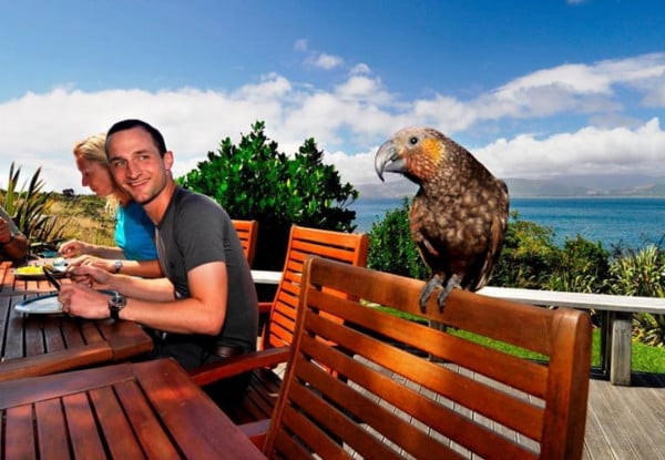 Kapiti Island Day Trip incl. Ferry Transport, Introductory Talk & DOC Permit for One Person - Option to incl. One-Hour Guided Walk & Lunch - Midweek & Weekend Options Available — photo 8