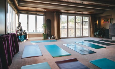 $45 for Five 60-Minute Yoga Classes (value up to $95) — photo 3