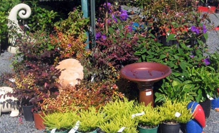 Kwan Garden Creations Ltd