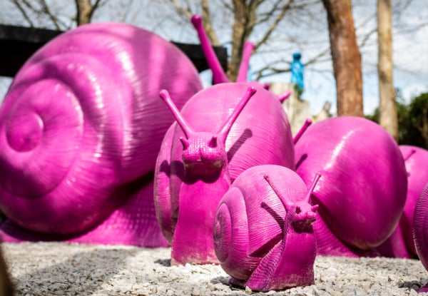 World-Class Spring Art Adventure at Sculptureum Matakana incl. Garden & Gallery Entry - Options for up to Six People or Family Pass — photo 10