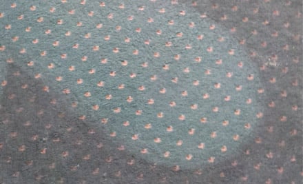 The Carpet Chemist