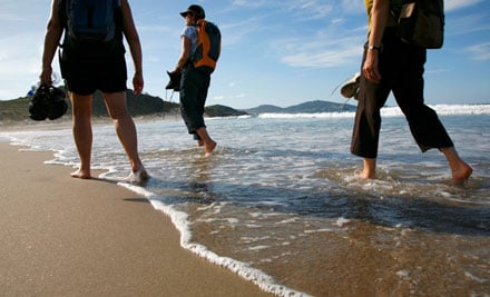 Bream Head Coast Walks
