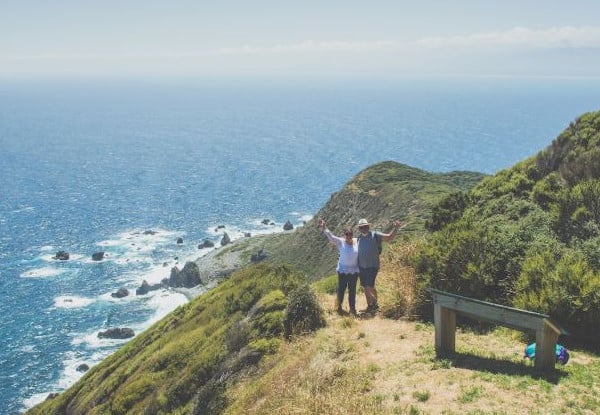 Kapiti Island Day Trip incl. Ferry Transport, Introductory Talk & DOC Permit for One Person - Option to incl. One-Hour Guided Walk & Lunch - Midweek & Weekend Options Available — photo 7