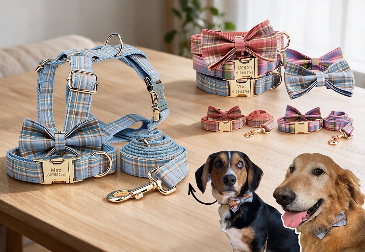 Custom Pet Collar — photo 6