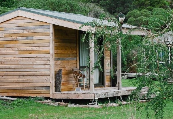 One-Night Kiwi Spotting Tour & Stay for Two People on Kapiti Island incl. Ferry Transport, Introductory Talk, North End DOC Permit, Dinner, Breakfast & Lunch - Option for Two-Night Stay — photo 5