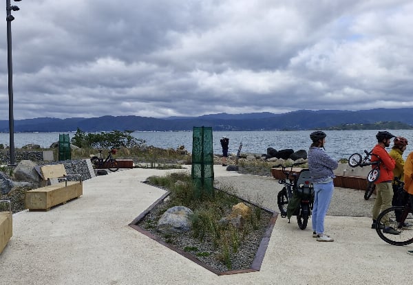 The Ultimate Wellington Bays & Petone Full-Day eBike Adventure - Options for Two & Four People — photo 5
