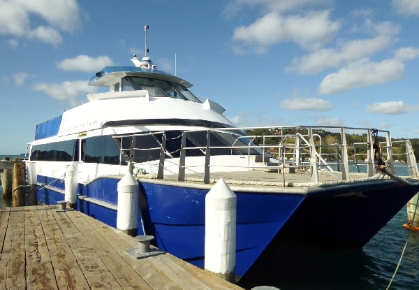 Return Pass on the Kawau Royal Mail Run Super Cruise - Options for Adults, Children, or Group Pass — photo 12